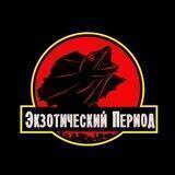 Выставка "Экзотический период"