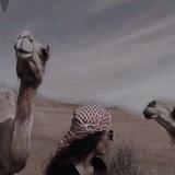 شاعره حفيدة شاعر