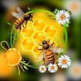 🍯 Медовый рай Крд 🍯