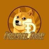 Forever Doge