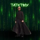 Enter The TateTrix