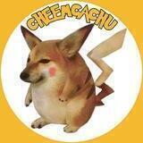 CHEEMCACHU
