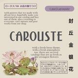 Catalogue @carouste ♡