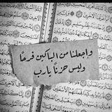 القران الكريم كاملا ❤️🌹