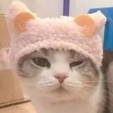 小新打币群