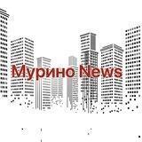 Мурино News