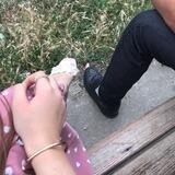 доьхна дог.💌