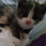 стеша няша♡︎🐾💗