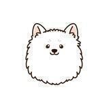 Spitz Inu