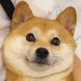 二狗福利站㊙️恋物癖/原味/打胶