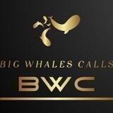 🐋Big_Whales_Calls🦈