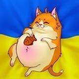 Благокотик (Благодійні Аукціони)