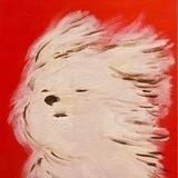 小杰手机口