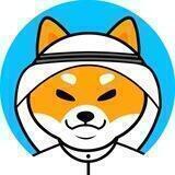 Dubai Shiba Inu