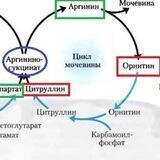 Метаболический постковид