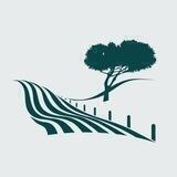 Marche Libere