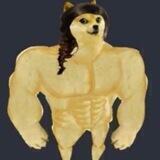 Chadina Inu