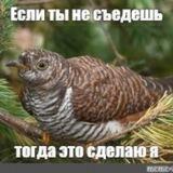 meetmein Tbilisi