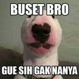 iyadah lu doang yg suhu