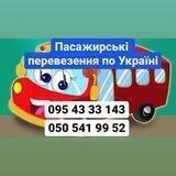Поездки Светлана