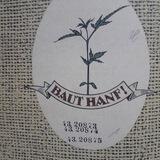 Hanf Wunderpflanze
