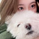 Cho hyewon