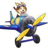 PILOT DOGE 👨‍✈️Chinese 🇨🇳