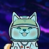 Doge Tribe Pup NFT 中文