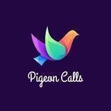 Pigeon Talk