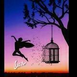 ❴ساَِز زنَِدَِهَِ گَِیَِ❵
