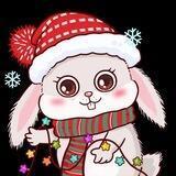 Christmas Rabbit | BSC |