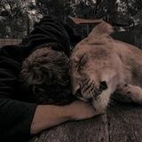 Liam's blog