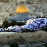 •شَمْس الضُحَى💛🌻