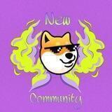 New Community DogeChain