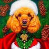 BABY SANTA DOGE
