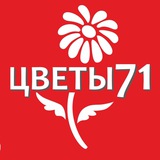 Цветы71.опт Тула
