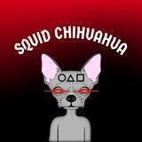 SquidChihuahua Portal