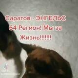 Мой Дом Добрый друг!