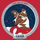 Laika inu