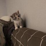 hello!