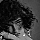 ﮼قژکوورت𓆦