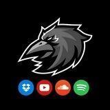 رضایت Raven Acc