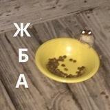 Ж.Б.А