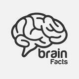 Brain Facts 🧠