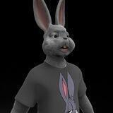 Non-Fungible Rabbits