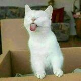 تعوا نضحك 😂😂