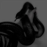 snake hole.