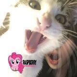 💘 — raspberry famîly.