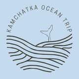 МОРСКИЕ ПРОГУЛКИ | КАМЧАТКА