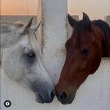 لِ رِيمي❤🕊"
